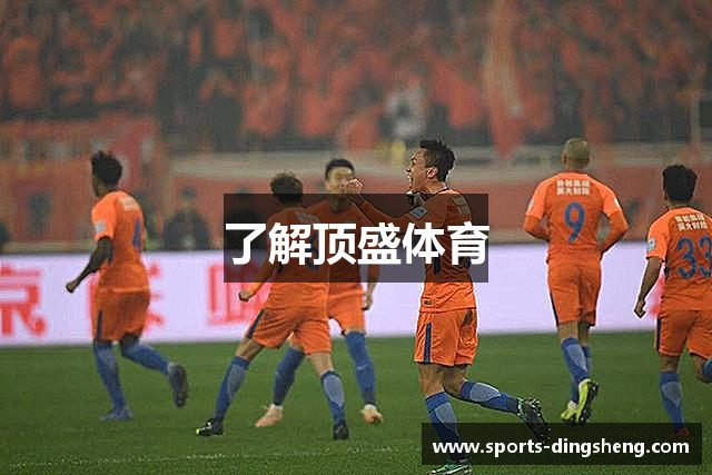 了解顶盛体育